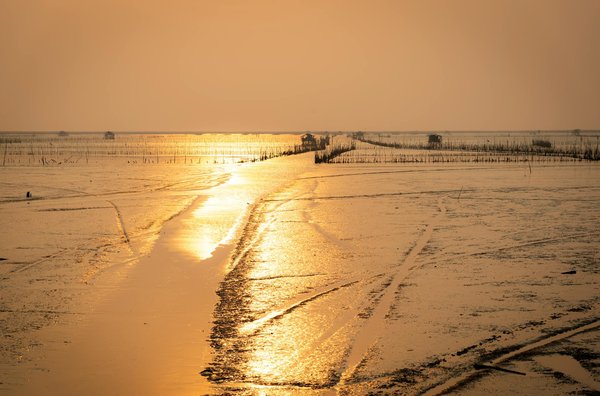 Conservatoire Occitan